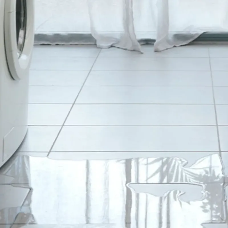 Appliance Leak Cleanup in Prairie County, MT